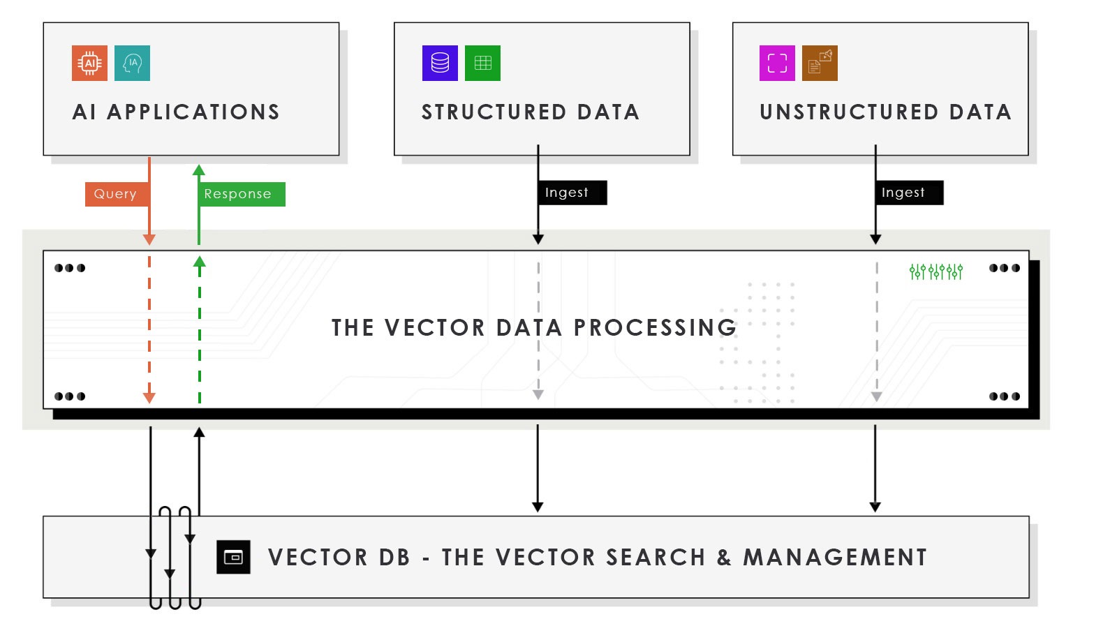 Behind the Brains of AI: Understanding Vector Databases
